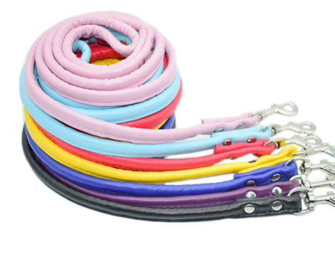 Rolled Eco-Leather Leash